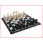 schaakspel bestaande uit 32 grote kunststof schaakstukken huren