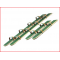 houten loopsk's 160 cm huren