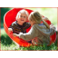 duurzame balanceerschaal Gonge voor 1 of 2 kinderen duurzame balanceerschaal Gonge voor 1 of 2 kinderen