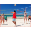 Triball Fun volleybalinstallatie voor meer variatie in het volleybal Triball Fun volleybalinstallatie voor meer variatie in het volleybal