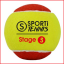 set van 3 tennisballen stage 3 voor op een klein veld set van 3 tennisballen stage 3 voor op een klein veld